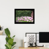 Tuin Tulp Poster Afbeelding (Thuiskantoor)