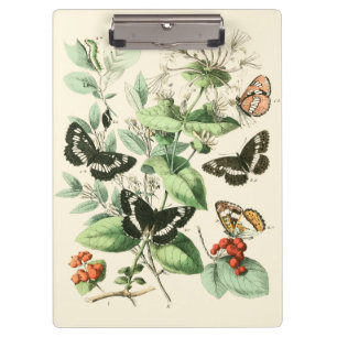 Tuin van Butterflies en Flowers Klembord