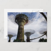 Tuin van de baai briefkaart (Voorkant / Achterkant)