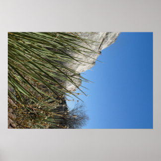 Tuin van de Goden Poster