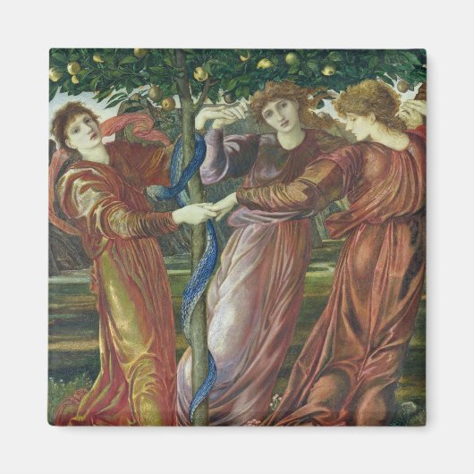 Tuin van de Hesperides, 1869-73 Magneet (Voorkant)