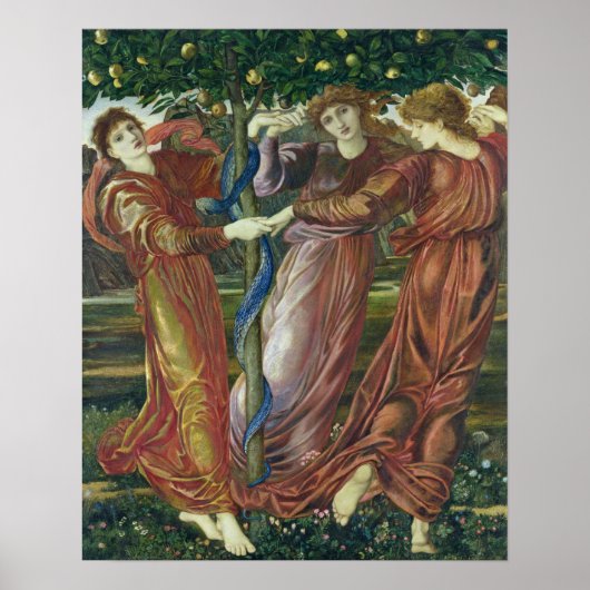 Tuin van de Hesperides, 1869-73 Poster (Voorkant)