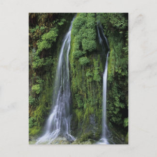 Tuin van Eden Briefkaart