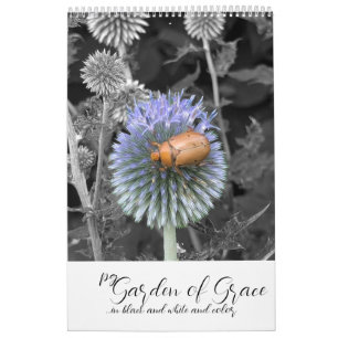 Tuin van Genade: In zwart & wit & kleur kalender