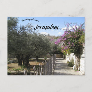Tuin van Gethsemane Jerusalem 2 Briefkaart
