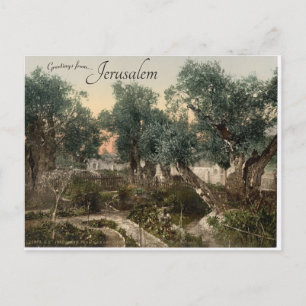 Tuin van Gethsemane Jerusalem Briefkaart