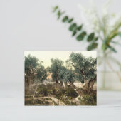  tuin van Gethsemane Jerusalem Israël 1890 Briefkaart (Staand voorkant)