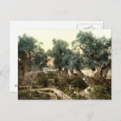  tuin van Gethsemane Jerusalem Israël 1890 Briefkaart (Voorkant / Achterkant)