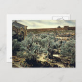 tuin van Gethsemane Jerusalem Israël Briefkaart (Voorkant / Achterkant)