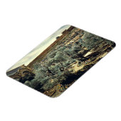 tuin van Gethsemane Jerusalem Israël Magneet (Linkerzijde)