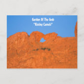 Tuin van het Briefkaart "Kissende kamelen" (Voorkant)