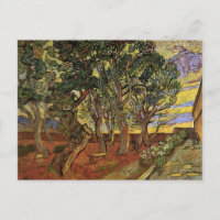 Tuin van het Saint-Paul-ziekenhuis door Vincent va