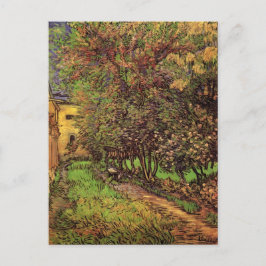 Tuin van het Saint-Paul Ziekenhuis, Vincent van Go Briefkaart