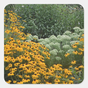 Tuin van Sticker met zwarte ogen
