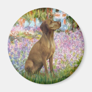 Tuin - Vizsla 1 Magneet