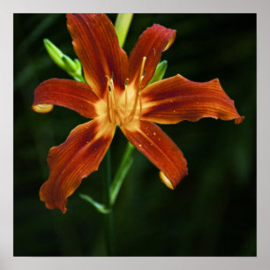 Tuin Vlam Print