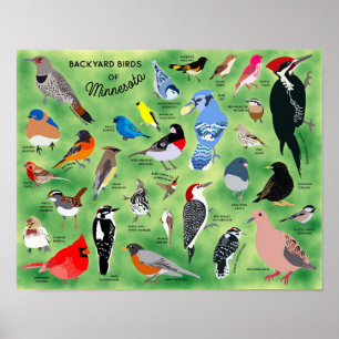 Tuin vogels van Minnesota Poster