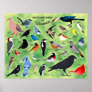 Tuin vogels van Wisconsin Poster