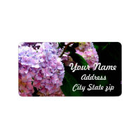 Tuin voor brandkranen, roze, blauw, paarse bloem