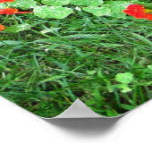 Tuinbloemen Coneflower Nasturtium Poster (Hoek)