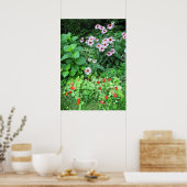 Tuinbloemen Coneflower Nasturtium Poster (Keuken)