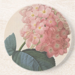 Tuinbloemen uit grootmoeders tijd, Roze Hortensia Zandsteen Onderzetter