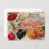 Tuinboombloembloem  Briefkaart (Voorkant / Achterkant)