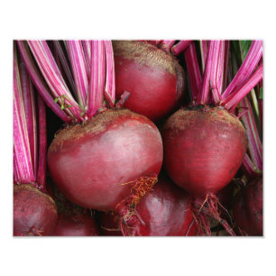 Tuinbouwbundel Foto Afdruk
