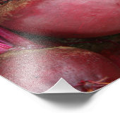 Tuinbouwbundel, vers foto afdruk (Hoek)