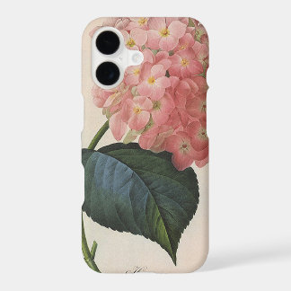 tuinbouwers, roze hydrangea Hortensia