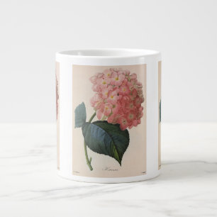  tuinbouwers, roze hydrangea Hortensia Jumbo Mok