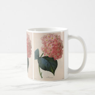  tuinbouwers, roze hydrangea Hortensia Koffiemok