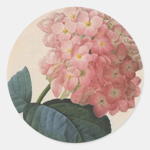  tuinbouwers, roze hydrangea Hortensia Ronde Sticker