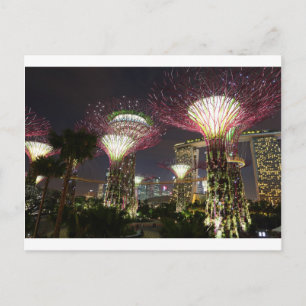 Tuinen bij de Baai Singapore Supertree Grove Briefkaart