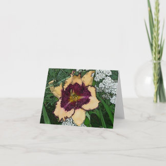 Tuinen Notecard Daylily "Sabine Baur" W de nieuwe Kaart
