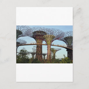 Tuinen van de Bay Singapore Supertree Grove Briefkaart