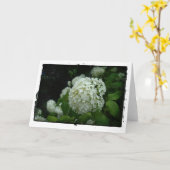 Tuinen van Zweden Kaart (Gele Bloem)