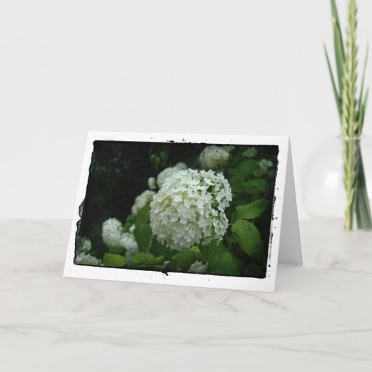 Tuinen van Zweden Kaart (Voorkant)