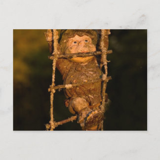 tuingnome briefkaart