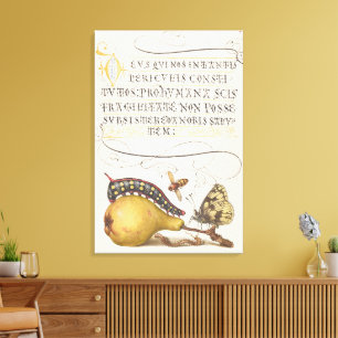 Tuininsecten, Vlieg, Rups, Peer, Duizendpoot Canvas Afdruk
