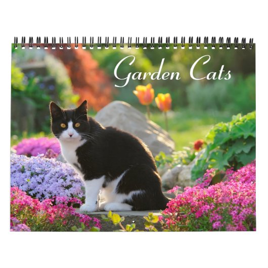 Tuinkatten - groottemedium kalender (Hoes)