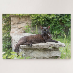 tuinkattenpuzzel legpuzzel