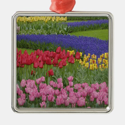 Tuinkers, Grape Hyacinth en Metalen Ornament (Voorkant)