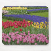 Tuinkers, Grape Hyacinth en Muismat (Voorkant)