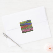 Tuinkers, Grape Hyacinth en Vierkante Sticker (Envelop)