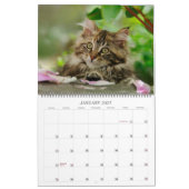 Tuinkers - groot kalender (Jan 2027)