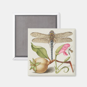 Tuinleven, Libel, Peer, Anjer en Insect Magneet
