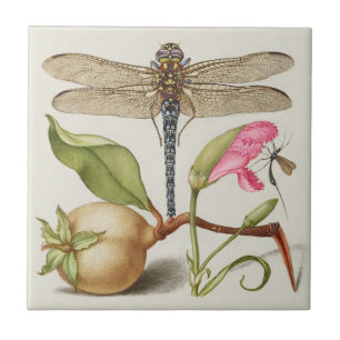 Tuinleven, Libel, Peer, Anjer en Insect Tegeltje