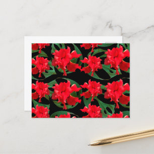 Tuinman Hibiscus Monstera Patroon Zwart   Briefkaart