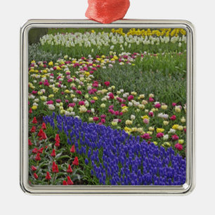 Tuinontwerp van druifhyacint, en tulpen, metalen ornament